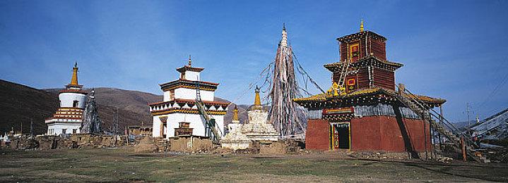 《赛博朋克2077》大卖 CDPR将向股东支付2500万美元股利